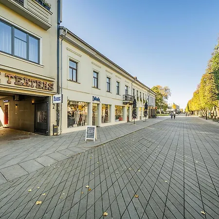 Huoneisto Park - The Luxury Collection