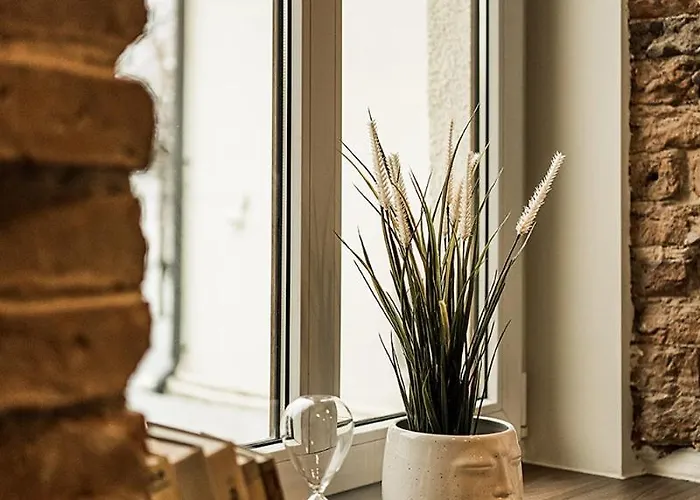 公寓 Park - The Luxury Collection 考纳斯